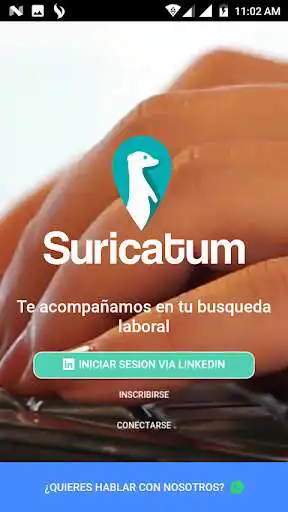 Play Suricatum  and enjoy Suricatum with UptoPlay