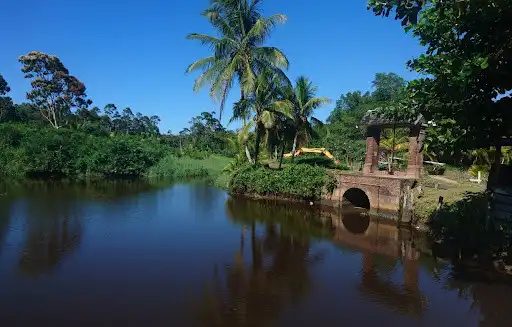 Play Suriname wallpaper as an online game Suriname wallpaper with UptoPlay