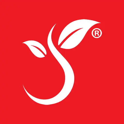 Play Surreta naukri APK