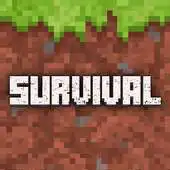 Free play online Survival Blocks Exploration APK