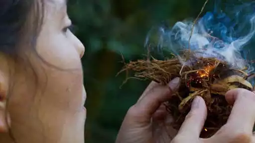 Play Survival lessons as an online game Survival lessons with UptoPlay