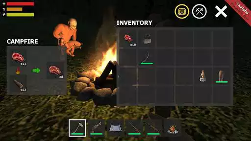 Play Survival Simulator