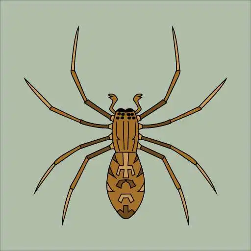 Play Survive the Spider Apocalypse APK