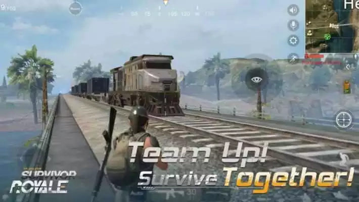 Play Survivor Royale