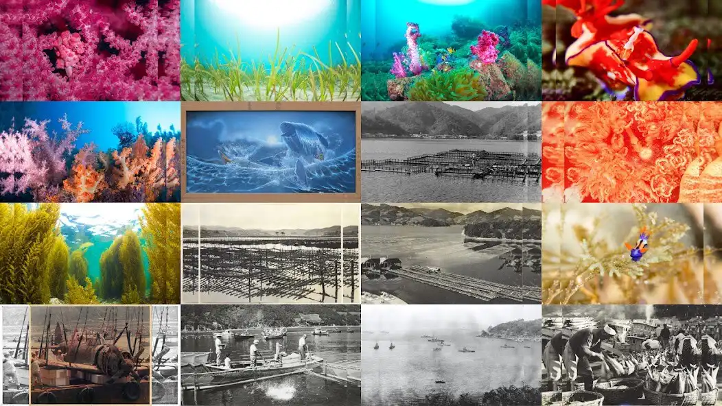 Play Sustainable sea puzzle  and enjoy Sustainable sea puzzle with UptoPlay