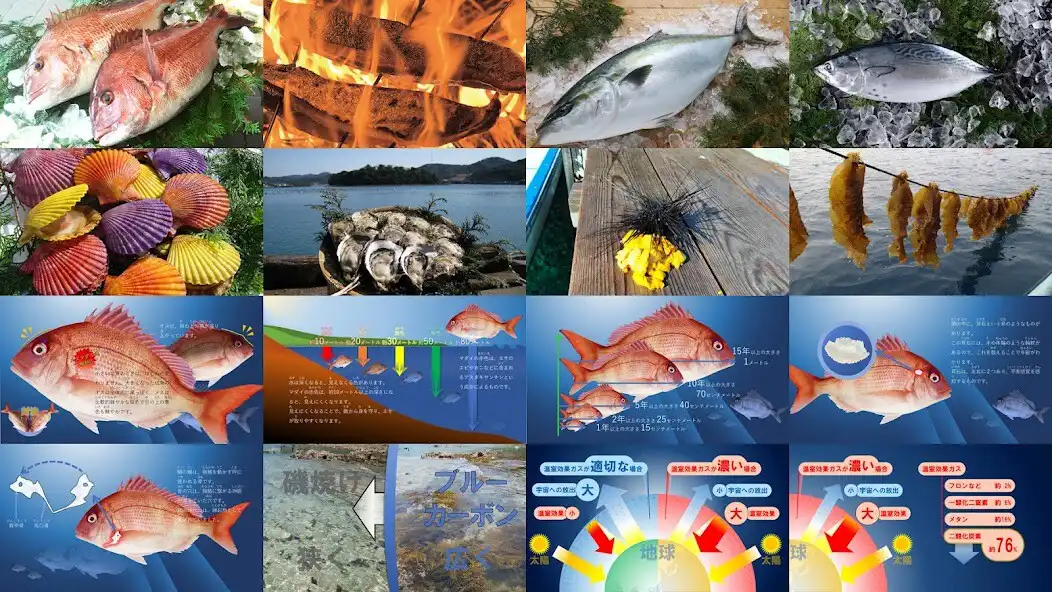 Play Sustainable sea puzzle as an online game Sustainable sea puzzle with UptoPlay