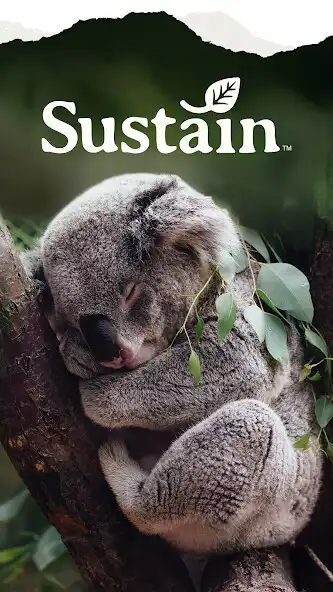 Play Sustain Program  and enjoy Sustain Program with UptoPlay