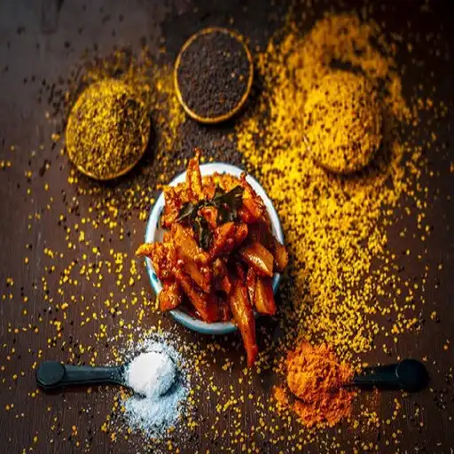 Play SV Home Foods APK