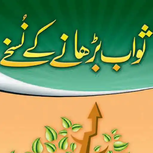 Play Swabi Nuskhy Offline PDF APK Play Swabi Nuskhy Offline PDF APK