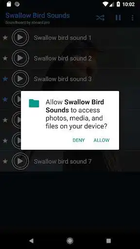 Play Swallow bird sounds ~ Sboard.pro as an online game Swallow bird sounds ~ Sboard.pro with UptoPlay