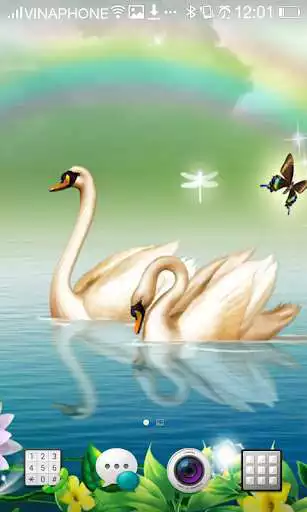 Play Swan Live Wallpaper HD 4K Cool