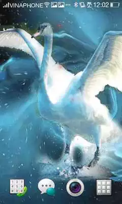 Play Swan Live Wallpaper HD 4K Cool