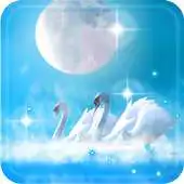 Free play online Swans Amazing LWP APK Free play online Swans Amazing LWP APK