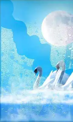 Play Swans Amazing LWP