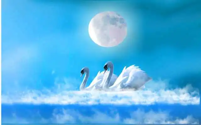 Play Swans Amazing LWP