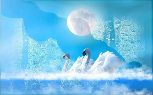Play Swans Amazing LWP