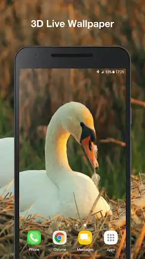 Play Swans live wallpaper