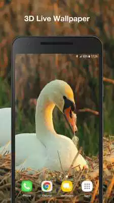 Play Swans live wallpaper