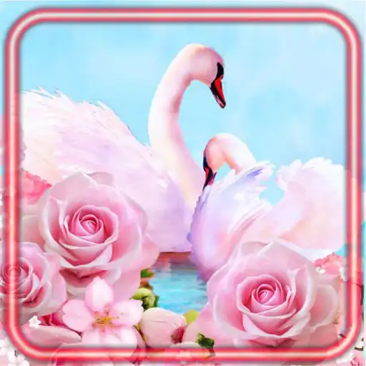 Play Swans Music APK