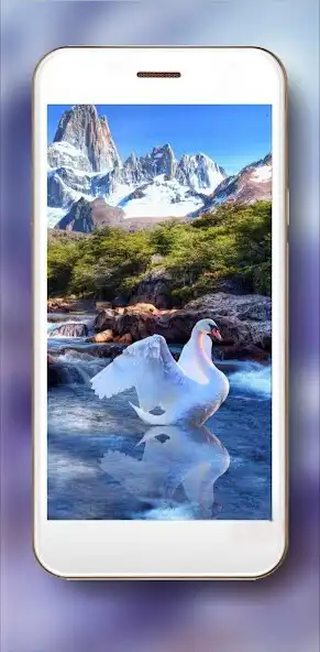 Play Swans Music as an online game online Swans Music with UptoPlay Play Swans Music as an online game Swans Music with UptoPlay