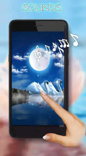 Play Swans Night  and enjoy Swans Night with UptoPlay