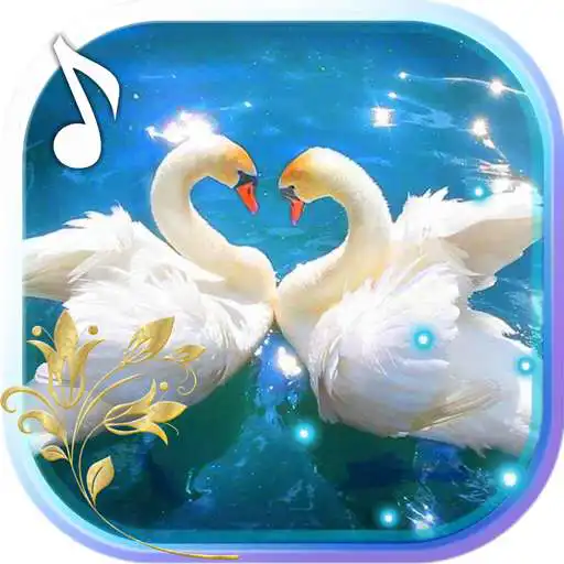 Play Swans Nobles LWP APK Play Swans Nobles LWP APK