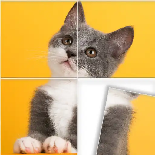 Play Swappy – Jigsaw Puzzles APK