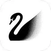 Free play online Swarovski Activity Crystal APK