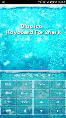 Play swashbuckler