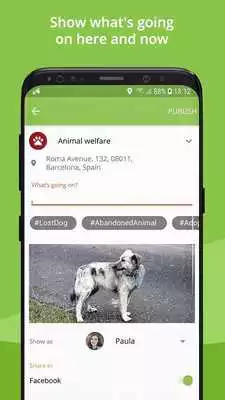 Play Swaypp Play Swaypp