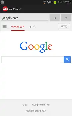 Play SWebView Browser