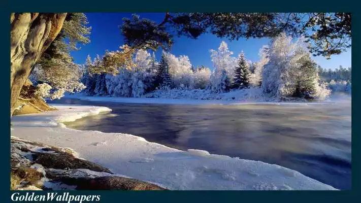 Play Sweden Wallpaper