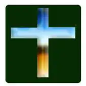 Free play online Swedish Bible Offline APK