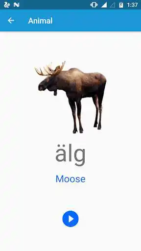 Play Swedish Guru and enjoy Swedish Guru with UptoPlay Play Swedish Guru and enjoy Swedish Guru with UptoPlay