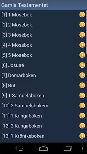 Play Swedish Holy Bible
