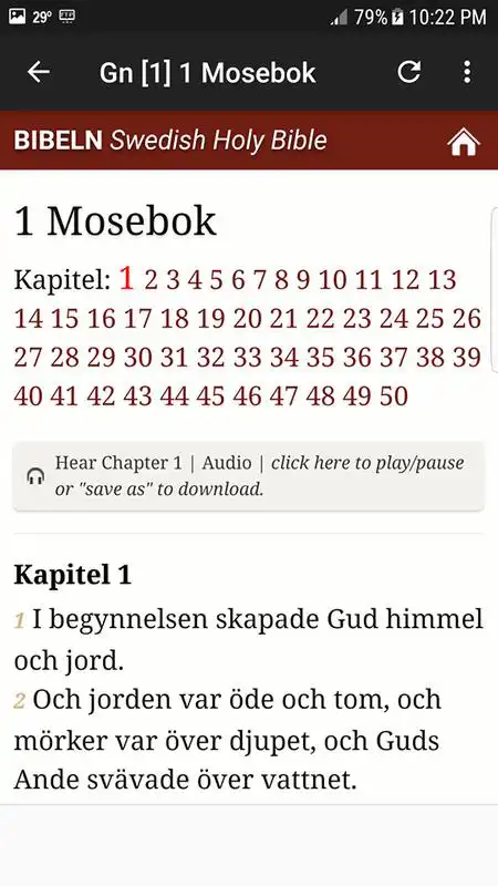 Play Swedish Holy Bible