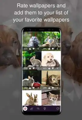 Play Sweet animals 4k
