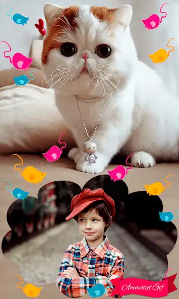 Play APK Sweet Cats GIF Photo Frames  and enjoy Sweet Cats GIF Photo Frames with UptoPlay com.oliappsgames.gif.SweetCatsGIFPhotoFrames