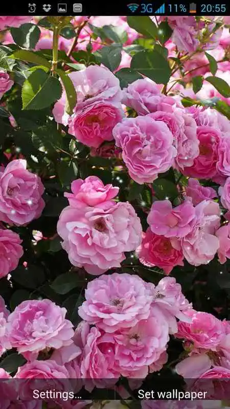 Play Sweet Flowers Live Wallpaper
