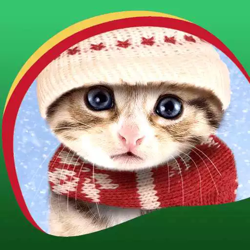 Free play online Sweet Kittens Live Wallpapers  APK