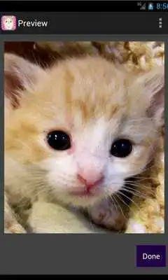 Play Sweet Pet Puzzle Play Sweet Pet Puzzle