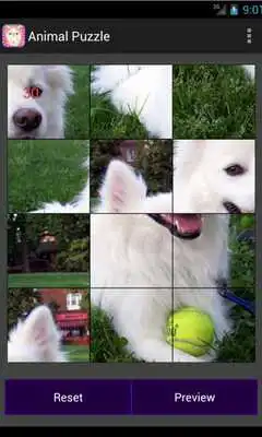 Play Sweet Pet Puzzle Play Sweet Pet Puzzle