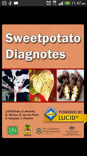 Play Sweetpotato DiagNotes  and enjoy Sweetpotato DiagNotes with UptoPlay