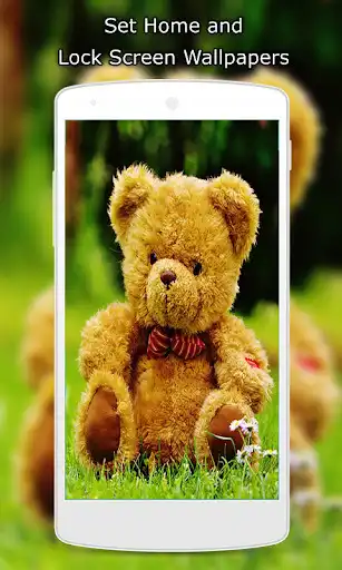 Play Sweet Teddy Bear Wallpaper HD as an online game Sweet Teddy Bear Wallpaper HD with UptoPlay