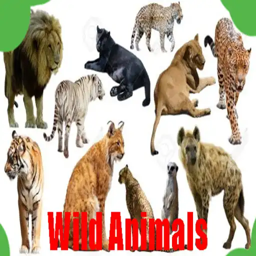 Play Sweet Wild Animals Photos APK
