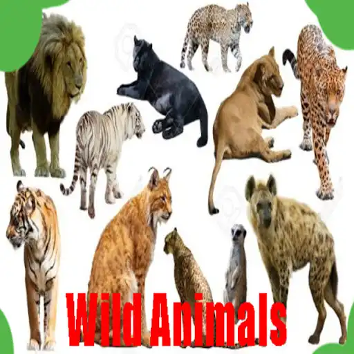 Play Sweet Wild Animals Photos as an online game Sweet Wild Animals Photos with UptoPlay