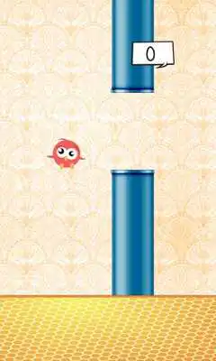 Play Sweety Bird