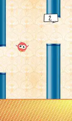 Play Sweety Bird