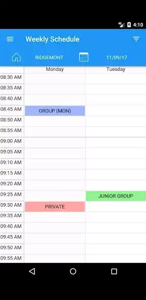 Play SwimBiz as an online game SwimBiz with UptoPlay