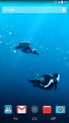 Play Swimming Penguins Live